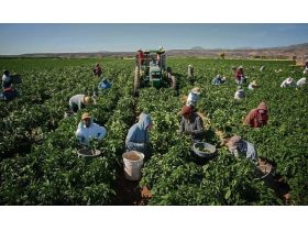 Oferta, National, Agricultura aus 2000e net personal