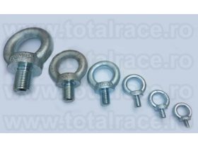 Oferta, National, Inel de ridicare surub DIN 580