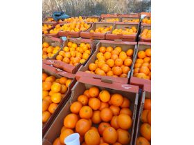 Oferta, National, Depozite portocale germania2400 neto