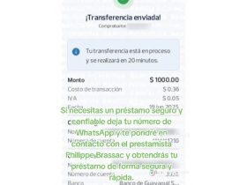 Oferta, Vaslui, Manfred knof