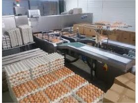 Oferta, National, Depozit ciuperci germ