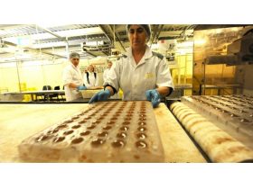 Oferta, National, Depozite ciuperci germ2400e net///////