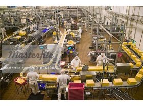 Oferta, National, Fabrica lactate germ2400e net