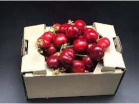 Oferta, Brasov, Depozite ciuperci germania2400e neto//////