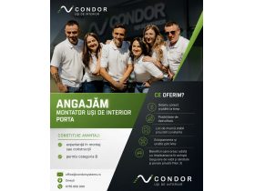 Oferta, National, ANGAJaM MONTATOR UȘI DE INTERIOR PORTA