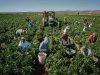 Agricultura aus 2000e net personal