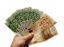 Oferta, Caras-Severin, ACTIONAR FINANCIAR