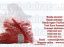 Oferta, Brasov, Banda poliester textila Total Race